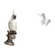 thumbnail image 5 of Figura De Caballo De Loro De Porcelana, Escultura De Resina, Adorno Decorativo Para Interiores, Centro De Mesa Para Escritorio, Mesa, Sala De Estar, Oficina, Armario, Chimenea., 5 of 8