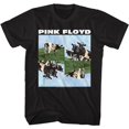 thumbnail image 1 of Pink Floyd Cows Black Adult T-Shirt, 1 of 2