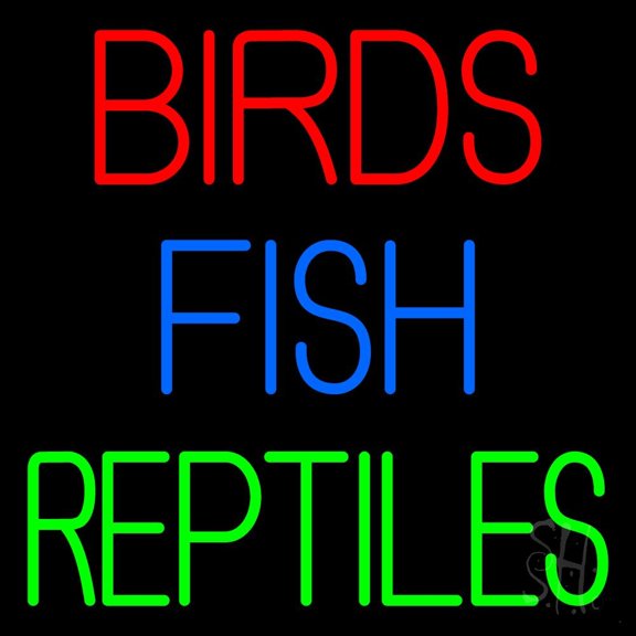 Birds Fish Reptiles 1 LED Neon Sign 24" Tall x 24" Wide - inches Black Square Cut Acrylic Backing, with Dimmer - Premium built indoor Sign for Club, Home décor, Event, Workshop, Storefront.