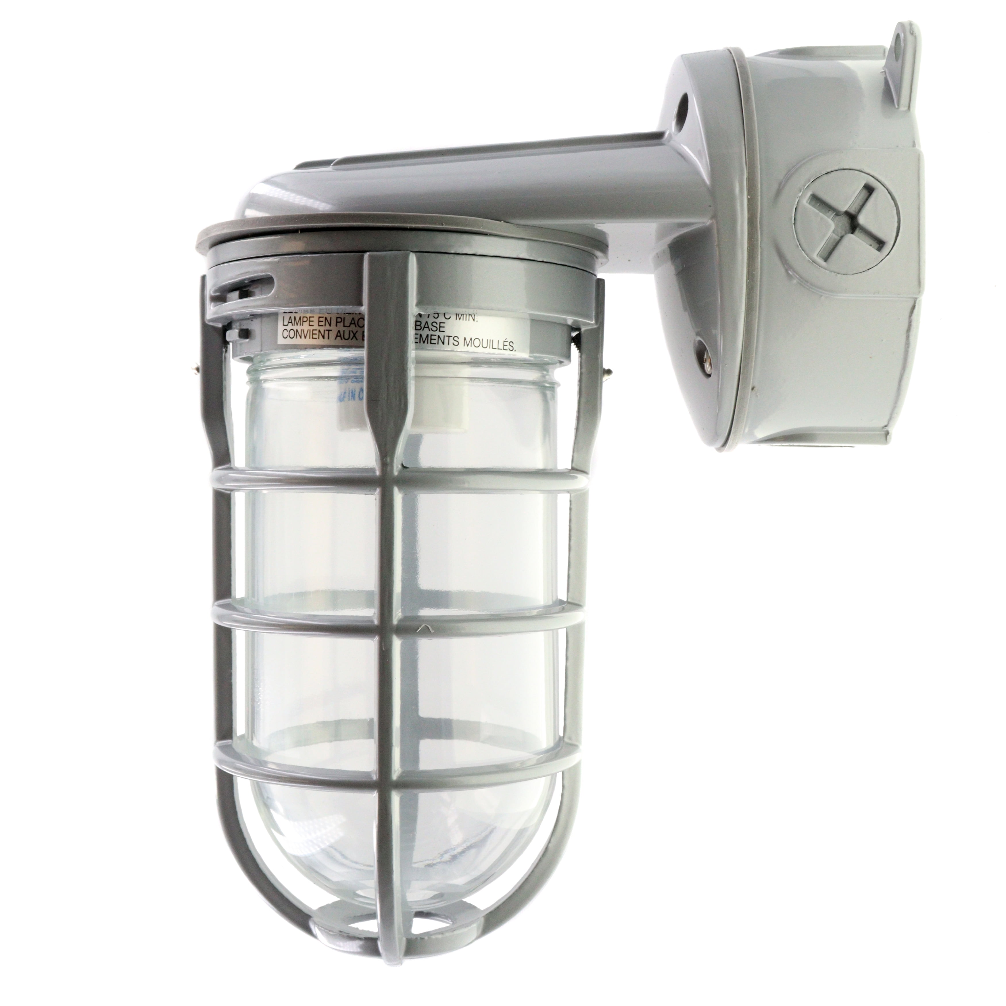 Red Dot 150-Watt Ceiling Mount Metal Cage Globe Light