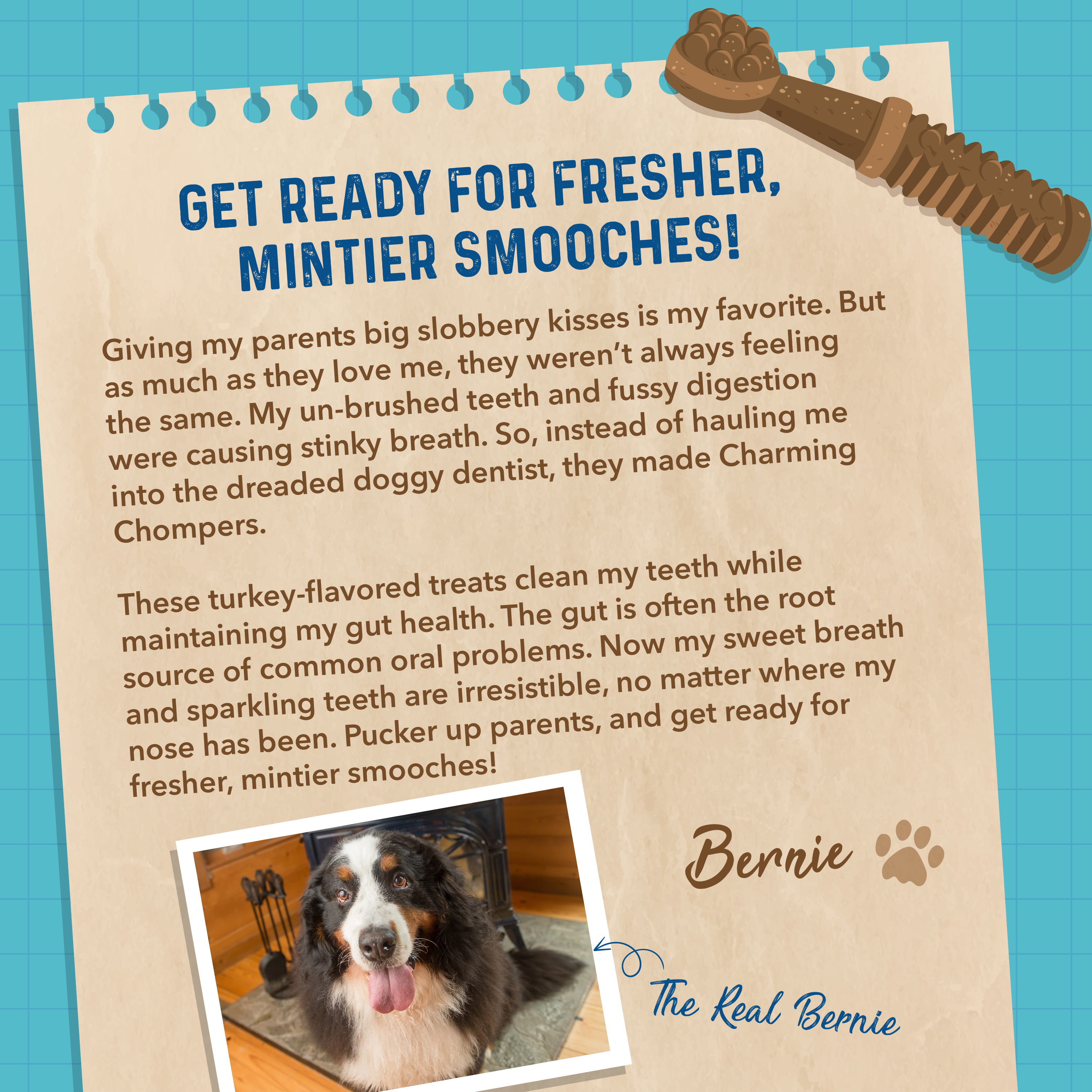 Bernie's Charming Chompers Dental Chews for Dogs 15-25 lbs photo 7