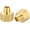 2, variant on 1 Pack FeMale to Male Adapters, 1/4" FNPT x MNPT Brass Nipple Pipe Extension Connectors for Industrial, Automotive, Fluid Transfer, Home Gardening, Water Treatment
