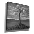 thumbnail image 2 of Epic Graffiti 'Dandelion' by Dariusz Klimczak, Canvas Wall Art, 37"x37", 2 of 3