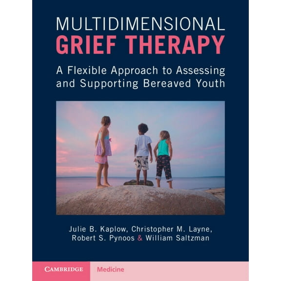 Multidimensional Grief Therapy: A Flexible Approach to Assessing and Supporting Bereaved Youth, (Paperback)