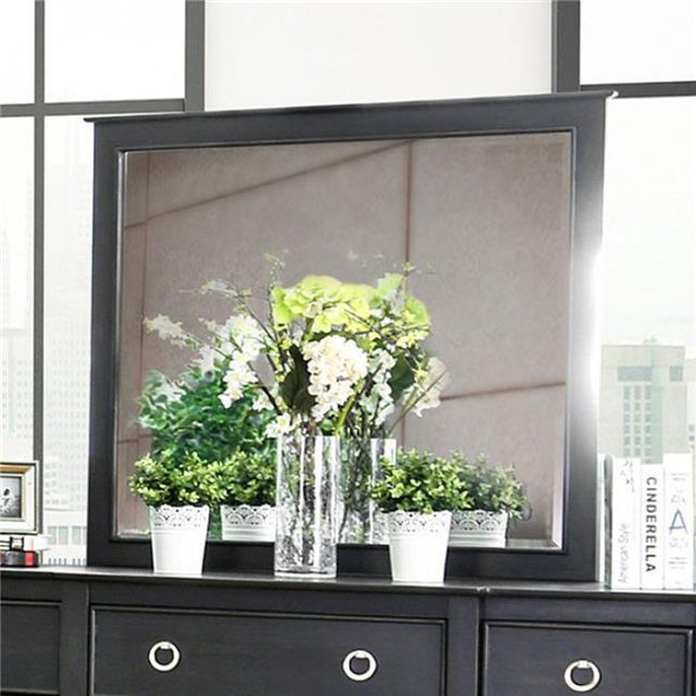 Arabelle Transitional Style Black Mirror, Wire-Brushed Black