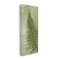thumbnail image 3 of Detailed Green Fern Leaf Botanical & Floral Graphic Art Gallery Wrapped Canvas Print Wall Art, 3 of 7