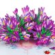 thumbnail image 1 of Tarjeta pop-up 3D de crocus DISJOURNEY 15 x 20 cm, morada, 1 of 7