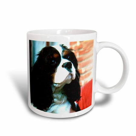 3dRose Cavalier King Charles Spaniels, Ceramic Mug, 15-ounce