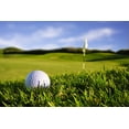 thumbnail image 4 of Bangcool 12PCS Golf Club Head Cover Creative Golf Iron Cover Protective Head Cover, 4 of 6