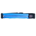 thumbnail image 1 of LED Reflective Running bag with USB Rechargeable Light, Reflective Running Gear for Men, Women, 1 of 5