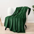 thumbnail image 6 of PAVILIA Soft Fleece Forest Green Throw Blanket for Couch, Lightweight Plush Warm Blankets for Bed, Fuzzy Cozy Flannel Blanket Throw for Sofa, Travel, Jacquard Pattern, Emerald Green, Twin, 60x80 inch, 6 of 8
