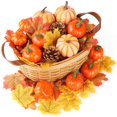 thumbnail image 4 of LHWEN Halloween Decoration Pumpkin Model Vegetable Cabinet Display Photography Props Home Outdoor Party Decor Basket Bowls Vases Garden Shop Supermarket Decoration Thanksgiving Autumn Theme, 4 of 5