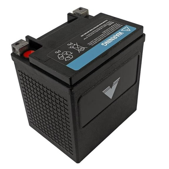Twin Power TPZ30HL-BS Shocker® Batteries