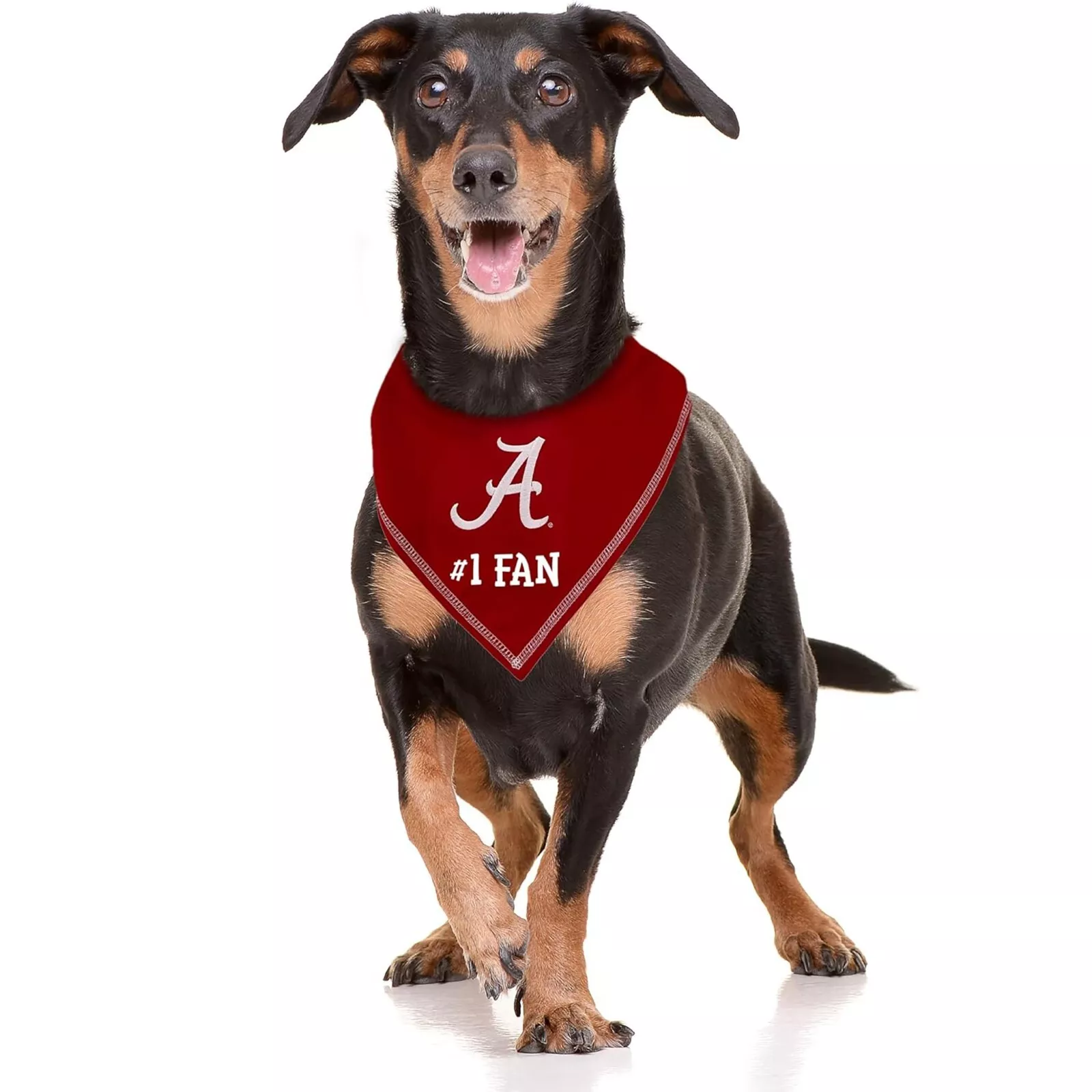 Pets First NCAA Personalized Tie Bandana for Dogs & Cats Sporty Dog Bandana
