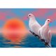 thumbnail image 1 of Taladro de pintura de diamante (DE1133) 5D DIY dos palomas Animal completo bordado decoración del hogar 50x70cm FLhrweasw Nuevo, 1 of 1