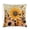 Pattern-2, variant on Pillow Cases Hive And Bee With Flowers And Sunflowers Decorative Throw Pillow Covers 16"x16" for Sofa Car Couch Living Room Bedroom Flying Wildlife Geometry Sofa Pillow Cover