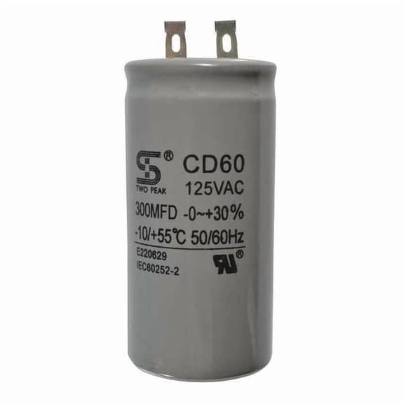 Dayton Capacitor 300uF/125v TT3811201G