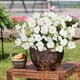 thumbnail image 4 of Eoozwa 3 Packs Artificial Flowers 7-Head Bouquet Realistic Silk Floral Stems for Home Decor Wedding Centerpieces and Outdoor Garden Photography Props Long-Lasting Spring Collection, 4 of 6