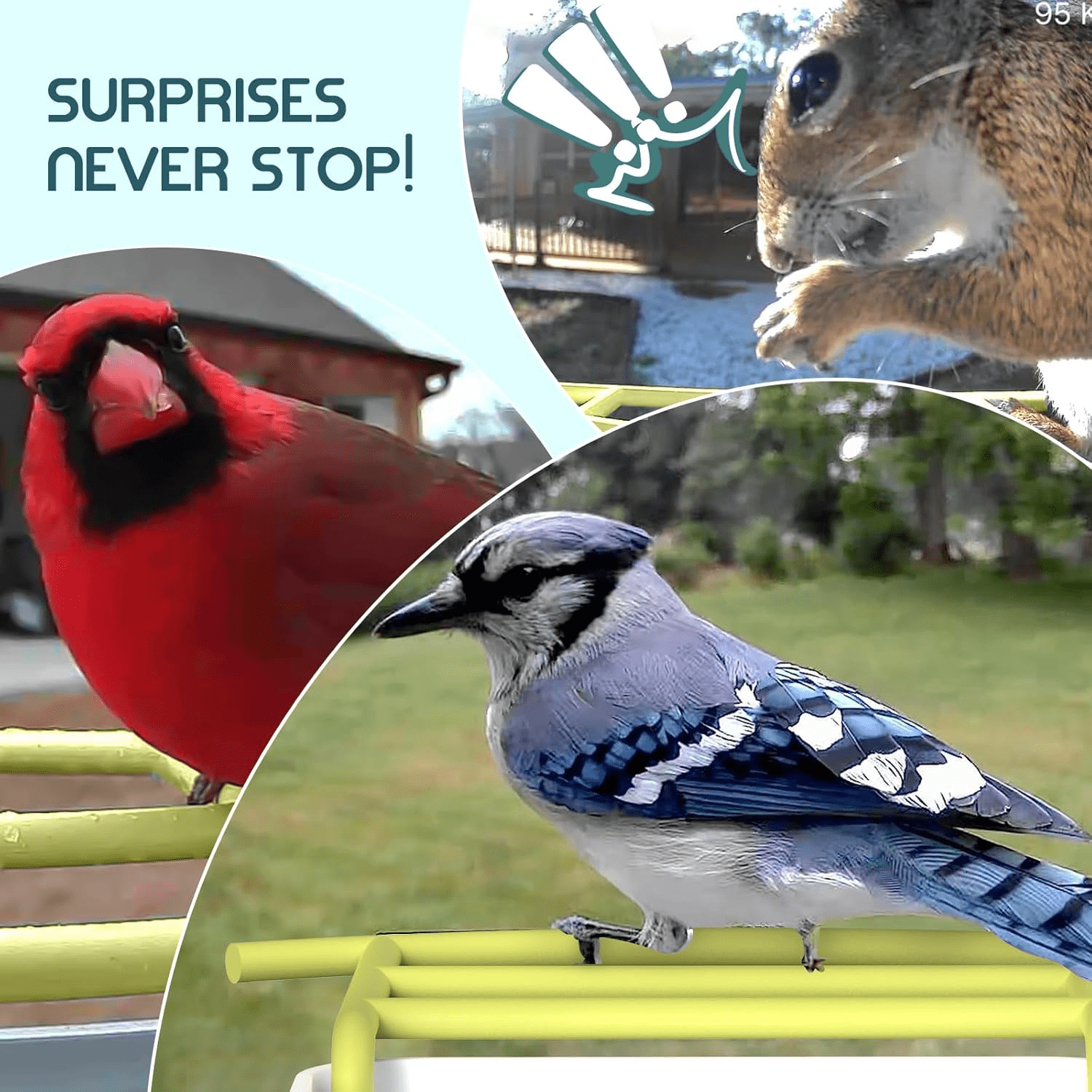 Smart Bird Feeder with Camera, Free AI Forever for 11,000+ Bird Species, 64G TF Card & 1080P HD, Solar-Powered Wireless Outdoor Bird Feeder, App Alerts & Two-Way Audio for Garden Bird Watching