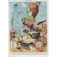 thumbnail image 3 of Pósteres y grabados al óleo sobre lienzo de arte mural clásico vintage con plantas, hongos, medicinas, flores, insectos, mariposas, verduras, calabazas y zanahorias, 3 of 5