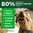 thumbnail image 4 of Greenies Aging Care Adult Natural Dental Dog Treats Teenie Size, 27 oz Pack (96 Count), 4 of 12