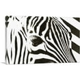 thumbnail image 1 of ARTCANVAS Zebra Stripes Painted Home decor Canvas Art Print - Size: 12" x 8" (0.75" Deep), 1 of 9