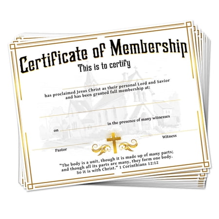 1set Award Certificate Holders Diploma Holders Rectangle Word 200x250mm 30pcs/set