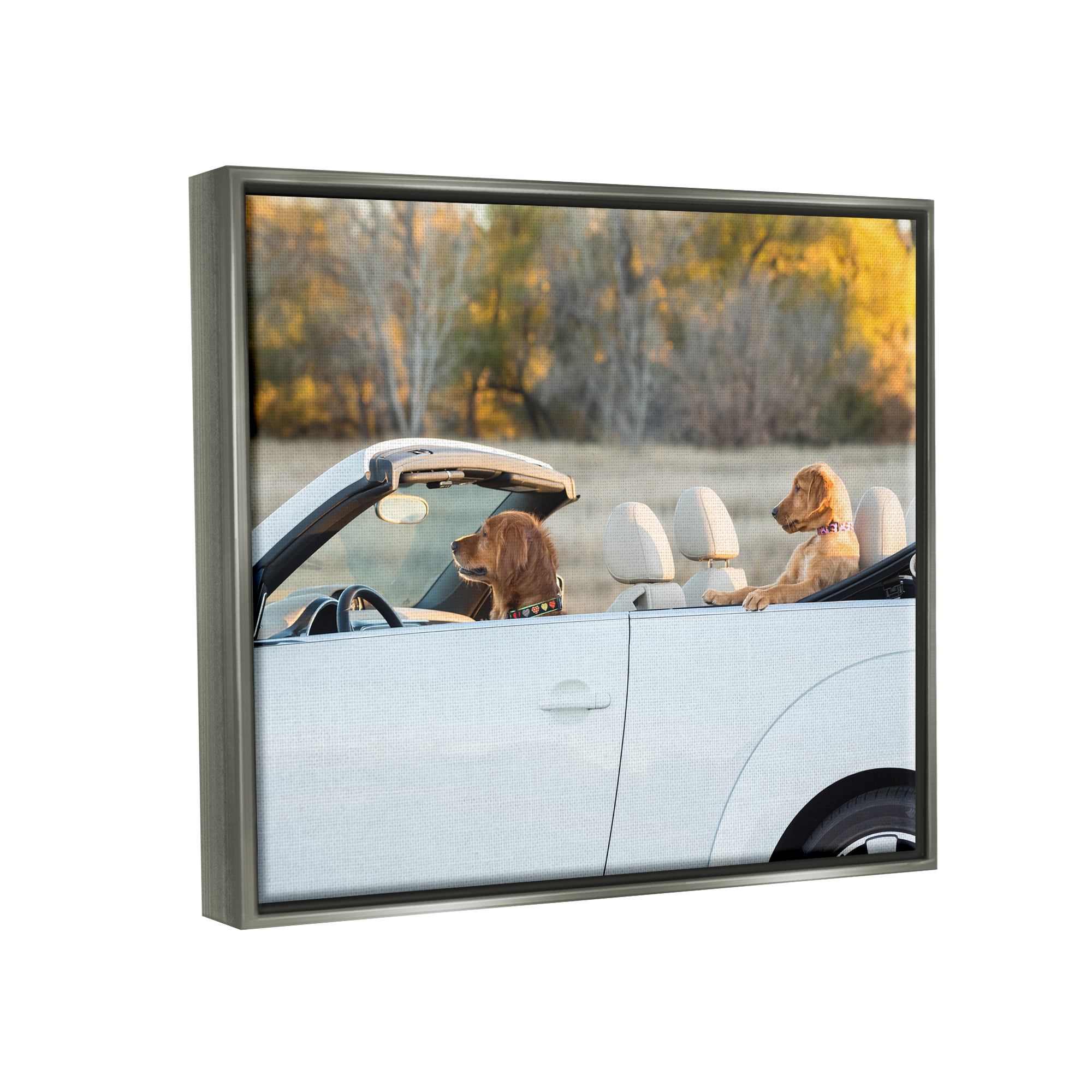Stupell Industries Dogs Driving Convertible Animals & Insects Photography Gray Floater Framed Canvas Art Print Wall Art, 21 x 17