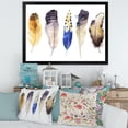 thumbnail image 3 of Designart 'Colourful Boho Art Feather Set I' Bohemian & Eclectic Framed Art Print, 3 of 4