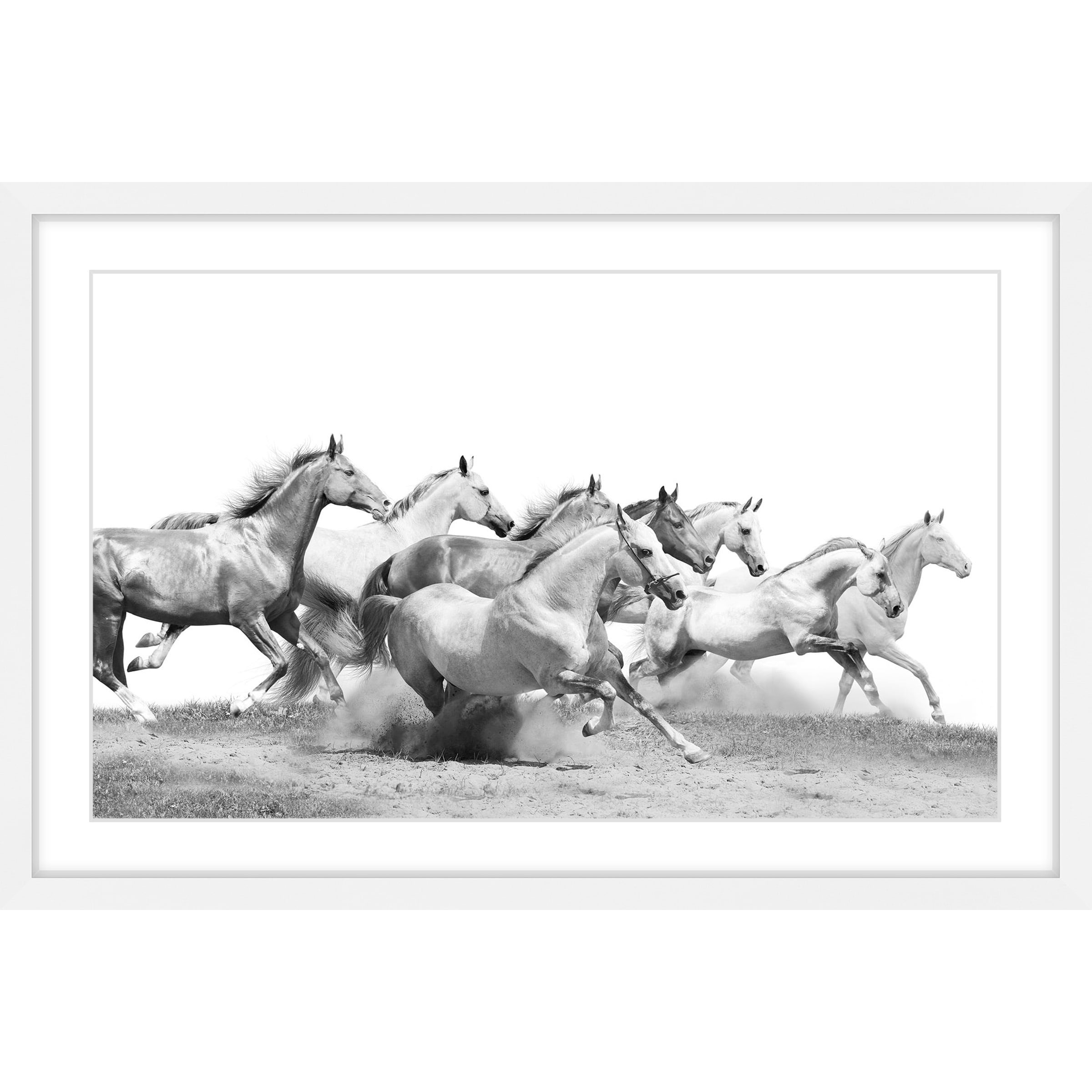 Marmont Hill 'Horseplay' Framed Photographic Print on Paper