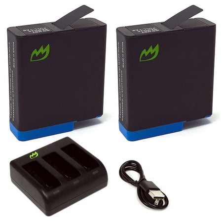 Replacement for GoPro SPJB1B Battery (2-Pack 1220mAh) and Triple Charger