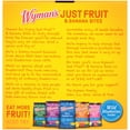 Wyman's Just Fruit & Banana Bites, 4 Pack of 2.3 oz Cups (Frozen