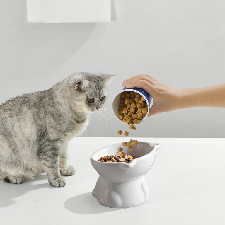 american made cat water fountain iPettie Runway Wireless Cat Water Fountain