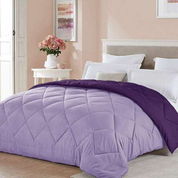 Seward Park Reversible Comforter Lightweight Microfiber Fill Cooling Summer Full/Queen Size Plum/Purple