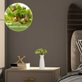 thumbnail image 3 of unbranded 12Ud De Artificiales Para Interior Y De Jarrones, 3 of 6