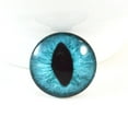 thumbnail image 5 of Teal Cat Glass Eyes, 5 of 10