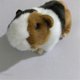 thumbnail image 2 of Simulation Mouse Toy Hamster Model Pet Toy, Stuffed Hamster Cute Toy, Simulated, 2 of 5
