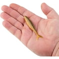 thumbnail image 4 of PowerBait® The Champ Minnow, 4 of 4