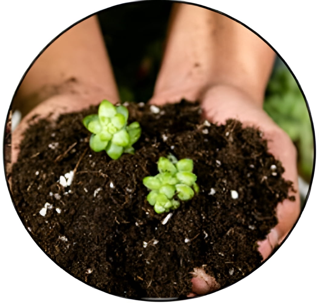 FoxFarm Happy Frog Organic Fruit and Flower Fertilizer, 1.5 Cubic Feet