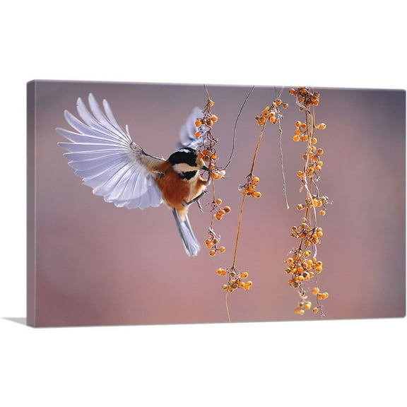 ARTCANVAS Bird Flying Over Berries Home decor Canvas Art Print - Size: 26" x 18" (0.75" Deep)