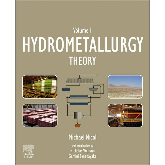 Hydrometallurgy: Theory, (Paperback)