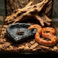 thumbnail image 6 of FEOLGEHLY Slow Feed Reptile Feeding Bowl Resin Feeding Bowl, Non Skid Simulated Rock Food Water Dish for Dog Cat, Practical Pet Feeding Accessories, 6 of 6
