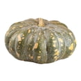 thumbnail image 4 of Calabaza de castilla por kilo, 4 of 4