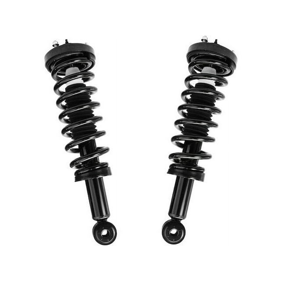 Front Strut Assembly Set - Compatible with 2004 - 2008 Ford F-150 2005 2006 2007