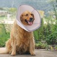 thumbnail image 5 of Collares de cono de protección antimordida para perro, gato, cachorro, Protector de cono para heridas, Collar de recuperación ajustable para perro con Velc, 5 of 5