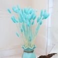 thumbnail image 4 of Ramos de flores secas naturales, plantas de cola de conejo, arreglos florales con tallos bohemios azul, 4 of 8