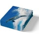 thumbnail image 4 of Funda Nórdica Queen para Niños Niñas Juego de Cama Delfín Saltarín Animales del Mar, 4 of 6