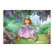 thumbnail image 3 of Fondos de vinilo para fiestas de cumpleaños de princesas de Disney, decoraciones para baby shower, suministros para baby shower, Cenicienta, Sofía, Blancanieves, 3 of 5