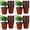 A, variant on Seedling Pots Plastic Plant Pots Seedling Cups, Nursery Pots Plant Container for Indoor Outdoor Plants, Seeds Germination Seedlings Growing Succulents Planting 50 Pcs