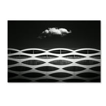 Trademark Fine Art 'Irrationalistic Harmonization' Canvas Art by Dr Akira Takaue